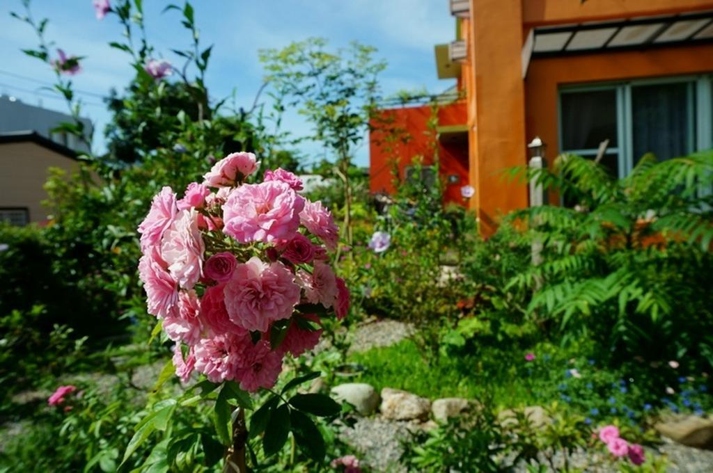 Lung Hill B&B T'ai-tung Exteriér fotografie
